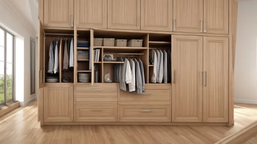 storage cabinet,walk-in closet,armoire,wardrobe,cupboard,room divider,cabinetry,closet,cabinets,dresser,chiffonier,cabinet,drawers,metal cabinet,search interior solutions,kitchen cabinet,pantry,bathroom cabinet,bookcase,drawer,Common,Common,Natural