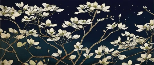 star magnolia,blue star magnolia,magnolia flowers,white magnolia,magnolia stellata,magnolias,magnolia,jasmine flowers,white blossom,night-blooming jasmine,star magnolia fin the rain,magnolia × soulangeana,chinese magnolia,almond blossoms,floral digital background,japanese magnolia,japanese floral background,magnolia blossom,magnolia trees,tulip branches,Illustration,Black and White,Black and White 29