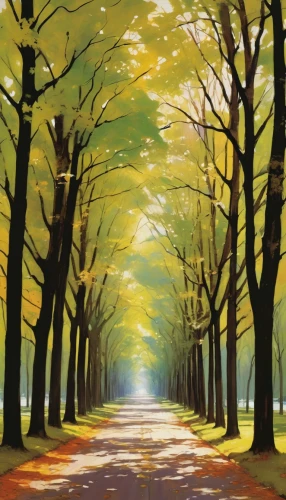 forest road,tree-lined avenue,tree lined lane,maple road,autumn forest,autumn landscape,autumn trees,deciduous forest,autumn scenery,autumn background,beech trees,tree lined path,autumn walk,the autumn,tree grove,row of trees,forest landscape,chestnut forest,autumn idyll,one autumn afternoon,Illustration,Paper based,Paper Based 12