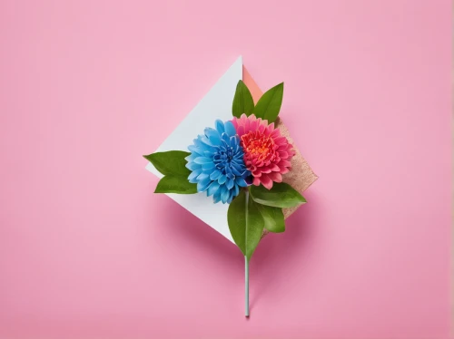 minimalist flowers,flowers png,paper flower background,flower background,plastic flower,floral mockup,ikebana,straw flower,floral background,floral digital background,retro flowers,flowers in envelope,flower illustrative,cut flower,pompom dahlia,paper flowers,two-tone flower,red clover flower,japanese floral background,flower opening,Photography,Fashion Photography,Fashion Photography 06