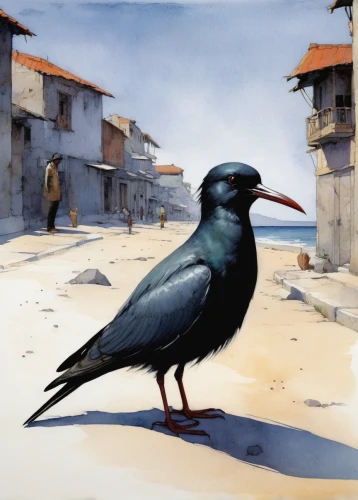 magpie,coastal bird,bird painting,3d crow,currawong,inca tern,corvidae,boat tailed grackle,black bird,sea swallow,bird illustration,grackle,birds of the sea,sea bird,crow-like bird,perico,street pigeon,crow,city pigeon,seabird,Illustration,Paper based,Paper Based 05