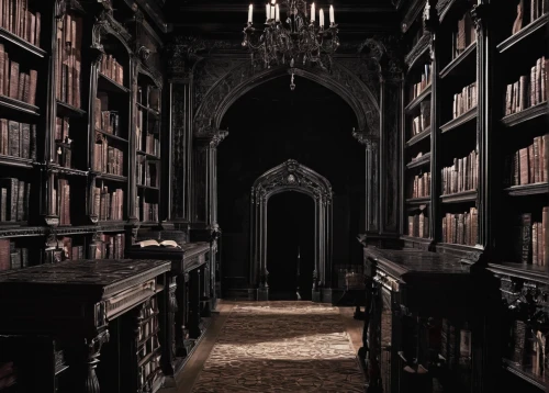 bookshelves,celsus library,hogwarts,old library,hall of the fallen,the books,dark cabinetry,haunted cathedral,bookcase,book wall,books,bookstore,a dark room,bibliology,old books,reading room,bookshelf,bookshop,book antique,book bindings,Illustration,Realistic Fantasy,Realistic Fantasy 46