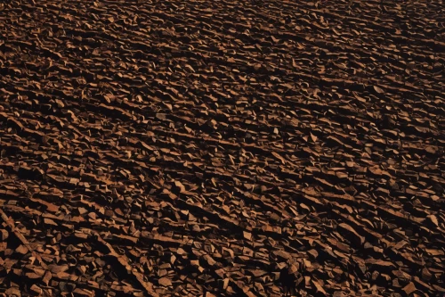 furrows,soybeans,potato field,clay soil,desertification,field of cereals,soil erosion,furrow,dried cloves,field cultivation,soil,cereal cultivation,cultivated field,red earth,scorched earth,grain field,mulch,cropland,sweet potato farming,grape plantation,Photography,Documentary Photography,Documentary Photography 28