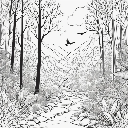 swampy landscape,forest path,line art birds,brook landscape,hare trail,nature trail,pathway,forest walk,robins in a winter garden,book illustration,bird illustration,coloring page,the woods,wetland,flower and bird illustration,forest glade,deciduous forest,wetlands,trail,coloring pages,Illustration,Black and White,Black and White 04