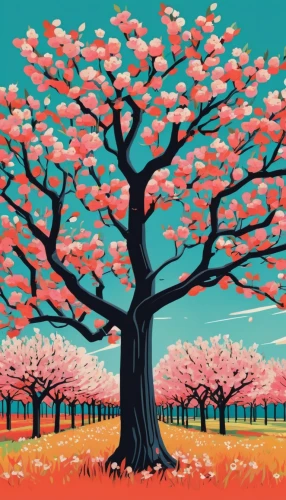 sakura trees,sakura tree,cherry blossom tree,cherry trees,blossom tree,cherry tree,japanese cherry trees,takato cherry blossoms,japanese sakura background,peach tree,magnolia trees,blooming trees,blossoming apple tree,sakura branch,almond tree,flower tree,almond trees,blooming tree,sakura cherry tree,the japanese tree,Illustration,Vector,Vector 06