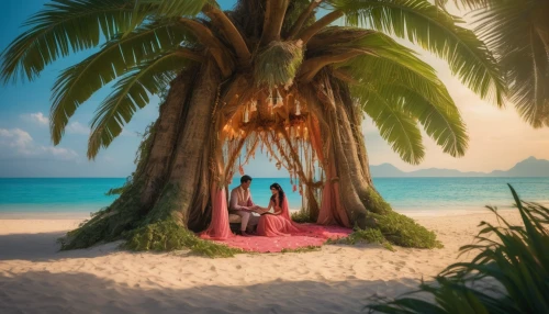 tropical house,coconut tree,tropical island,delight island,giant palm tree,tropical beach,dream beach,coconut trees,coconut perfume,umbrella beach,idyllic,moana,island suspended,seychelles,tropical tree,caribbean beach,coconut palms,cabana,palm tree,digital compositing,Illustration,Realistic Fantasy,Realistic Fantasy 02