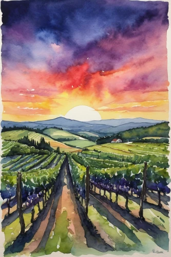 watercolor wine,vineyards,wine country,napa valley,wine region,tuscan,vineyard,southern wine route,castle vineyard,sonoma,napa,grape plantation,winery,watercolor background,viticulture,fruit fields,la rioja,watercolor painting,olive grove,watercolor,Illustration,American Style,American Style 03