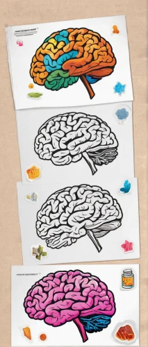 cerebrum,brain icon,brain structure,cognitive psychology,human brain,mindmap,brain,cranium,coloring for adults,motor skills toy,medical concept poster,brainstorm,scrapbook clip art,brainy,clipart sticker,emotional intelligence,offset printing,vector images,sticky notes,brain storming,Unique,Design,Sticker