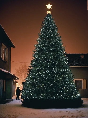 nordmann fir,canadian fir,fir tree,the christmas tree,christmasbackground,christmas pine,seasonal tree,christmas motif,christmas snowy background,christmas trailer,christmas tree,vintage christmas,christmas scene,spruce tree,wondertree,christmas landscape,christmas tree with lights,christmas bell,retro chevrolet with christmas tree,myfestiveseason romania,Photography,Documentary Photography,Documentary Photography 15