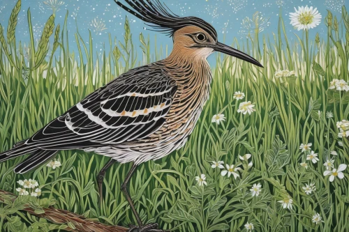 meadow bird,spring bird,flower and bird illustration,bird painting,prairie chicken,bird illustration,quail,zebra dove,turtledove,garden bird,turtle dove,munia,field pigeon,bobolink,shorebird,eastern meadowlark,an ornamental bird,spinifex pigeon,marsh bird,st martin's day goose,Illustration,Black and White,Black and White 15