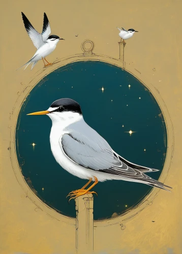 fairy tern,river tern,crested terns,silver tern,royal tern,little tern,tern bird,sandwich tern,forster s tern,arctic tern,tern,common tern,terns,sea swallow,whiskered tern,flying tern,cape gull,kelp gull,silver seagull,black tern,Art,Classical Oil Painting,Classical Oil Painting 44