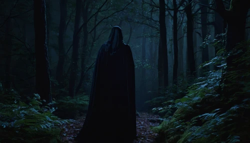 cloak,hooded man,grimm reaper,the nun,the witch,vader,grim reaper,forest dark,sleepwalker,dark park,darth vader,hooded,the night of kupala,black forest,dark gothic mood,mysterious,caped,haunted forest,the woods,darth wader,Photography,Fashion Photography,Fashion Photography 22