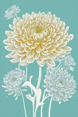 white chrysanthemum,chrysanthemum grandiflorum,the white chrysanthemum,chrysanthemum background,siberian chrysanthemum,chrysanthemum,chrysanthemum flowers,celestial chrysanthemum,garden chrysanthemum,garland chrysanthemum,wild chrysanthemum,chrysanthemum coronarium,korean chrysanthemum,white chrysanthemums,autumn chrysanthemum,blue chrysanthemum,chrysanths,chrysanthemums,chrysanthemum exhibition,chrysanthemums bouquet,Illustration,Vector,Vector 21