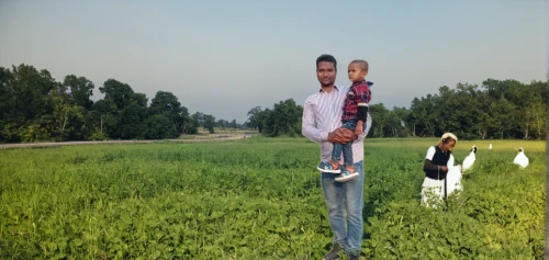 rice cultivation,barley cultivation,khanpur,field cultivation,paddy field,background view nature,farm background,in xinjiang,meadow play,in the field,scarecrows,cereal cultivation,girl and boy outdoor,nargund hill,monopod,poriyal,grassland,land lot,farmers,kite climbing