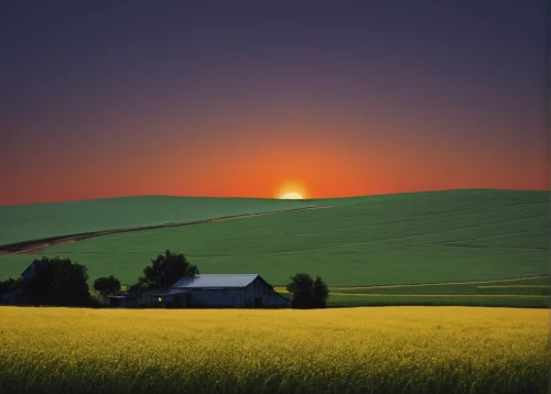 rural landscape,landscape background,farm landscape,meadow landscape,home landscape,rolling hills,rapeseed field,yellow grass,field of rapeseeds,wheat field,rapeseed,farm background,wheat fields,nature landscape,farmland,grasslands,beautiful landscape,landscape nature,green fields,prairie,Photography,Documentary Photography,Documentary Photography 06