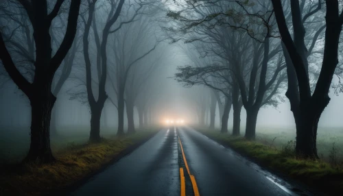 the road,foggy landscape,forest road,road to nowhere,long road,foggy forest,the mystical path,road forgotten,road of the impossible,autumn fog,straight ahead,dense fog,winding road,road,country road,roads,open road,empty road,north american fog,fog,Photography,General,Fantasy