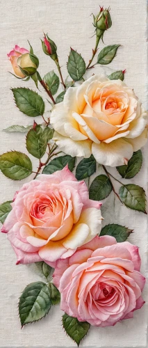 garden roses,julia child rose,flowers png,old country roses,watercolor roses,floral digital background,roses pattern,fabric roses,noble roses,esperance roses,yellow rose background,paper flower background,vintage flowers,rose roses,spray roses,arrow rose,rose arrangement,rose png,rose bouquet,sugar roses