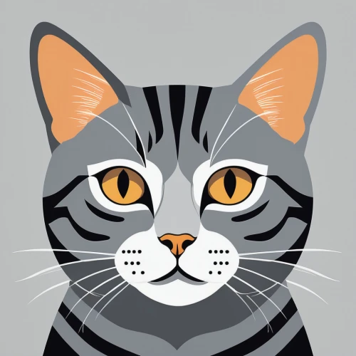 cat vector,vector illustration,vector graphic,american shorthair,vector art,vector graphics,adobe illustrator,vector design,gray icon vectors,egyptian mau,tabby cat,silver tabby,vector image,tiger png,bengal,toyger,bengal cat,american bobtail,british shorthair,clipart sticker,Illustration,Vector,Vector 01