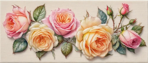 watercolor roses,garden roses,flowers png,flower painting,esperance roses,watercolor roses and basket,blooming roses,noble roses,spray roses,floral greeting card,colorful roses,rose buds,rose flower illustration,roses frame,old country roses,peach rose,rosebuds,watercolor flowers,vintage flowers,watercolour flowers