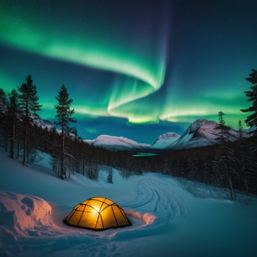 northen lights,norther lights,the northern lights,northern lights,northern light,finnish lapland,northen light,camping tents,northernlight,tent camping,lapland,auroras,northern norway,polar lights,nothern lights,aurora borealis,green aurora,yukon territory,borealis,campire,Photography,General,Natural