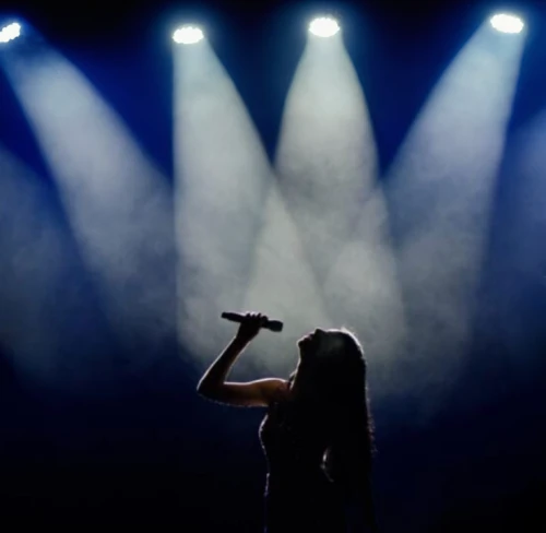 woman silhouette,perfume bottle silhouette,the silhouette,silhouette,playback,stage light,against the current,art silhouette,silhouetted,life stage icon,spotlight,dance silhouette,singing,performing,concert,silhouettes,live performance,mic,live concert,singer