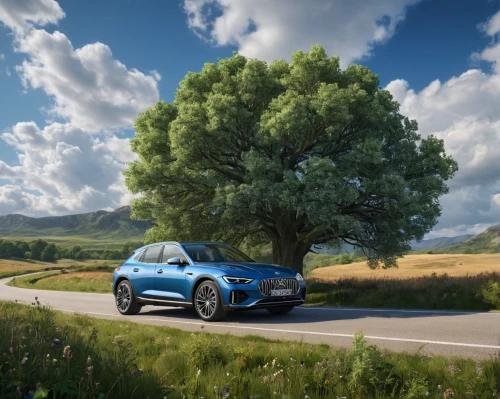 bmw concept x6 activehybrid,bmw x1,bmw x6,mercedes eqc,borgward,mercedes glc,infiniti qx70,mercedes-benz gl-class,mercedes-benz gls,bmw x3,compact sport utility vehicle,borgward hansa,bentley continental supersports,mercedes amg a45,volvo xc60,bmw x5,seat altea,chevrolet tracker,citroën ds3,mercedes-benz a-class,Photography,General,Natural