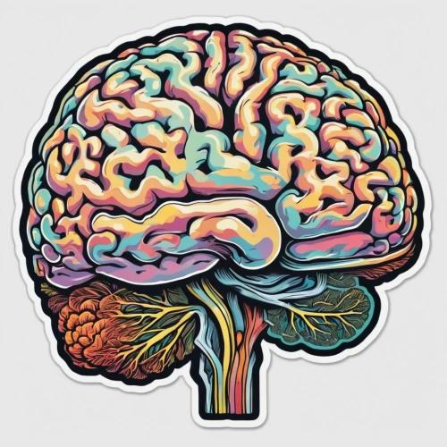 brain icon,human brain,cerebrum,brain structure,brain,cognitive psychology,brainy,mindmap,brainstorm,neurology,brain storming,magnetic resonance imaging,emotional intelligence,neural pathways,dopamine,neural network,neurath,mind,neural,mind-body,Photography,General,Natural