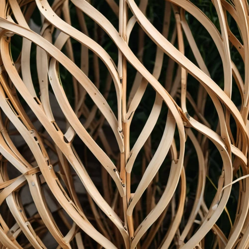 wicker fence,ornamental wood,wood skeleton,branch swirls,palm fronds,bamboo frame,branch swirl,bamboo curtain,vine tendrils,patterned wood decoration,ornamental grass,pine needle,wicker,twine,rattan,palm leaf,coppiced,helical,tangle,seed-head,Photography,General,Natural