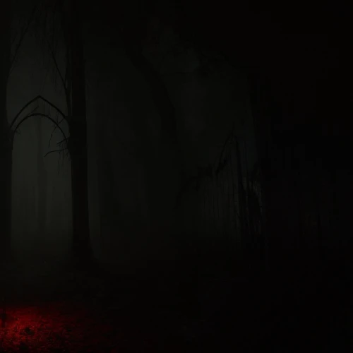 haunted forest,dark park,halloween wallpaper,halloween background,forest dark,foggy forest,eerie,haunt,penumbra,hollow way,the woods,the forest,in the dark,in the shadows,a dark room,ominous,the fog,dense fog,haunted,veil fog,Game Scene Design,Game Scene Design,Horror Style