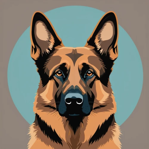 german shepherd,german shepherd dog,king shepherd,shiloh shepherd dog,gsd,old german shepherd dog,belgian shepherd malinois,belgian shepherd,belgian shepherd dog,vector illustration,alsatian,german shepards,dog illustration,leonberger,vector art,bohemian shepherd,vector graphic,black german shepherd,malinois,eurasier,Illustration,Vector,Vector 01