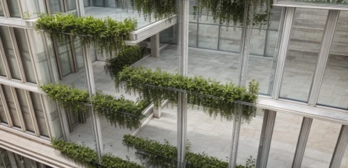 glass facade,hanging plants,glass facades,structural glass,bamboo plants,block balcony,glass panes,glass wall,glass building,sky ladder plant,hanging plant,lattice windows,climbing plant,balcony plants,window frames,balcony garden,roof garden,window film,landscape designers sydney,skyscapers,Landscape,Landscape design,Landscape space types,Plaza Landscapes