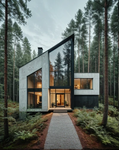 house in the forest,cubic house,timber house,modern architecture,modern house,danish house,cube house,frame house,dunes house,inverted cottage,scandinavian style,wooden house,mid century house,mirror house,house shape,modern style,arhitecture,eco-construction,metal cladding,house in the mountains