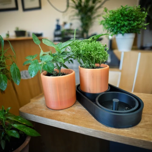 plants in pots,plant pots,plant pot,house plants,garden pot,pot plant,flower pots,small plants,flowerpots,tube plants,potted plants,plants growing,plant protection drone,green plants,plant protection,desk accessories,balcony plants,little plants,plants,sound speakers