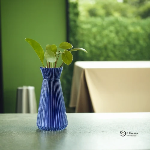 stemless gentian,glass vase,flower vase,flower vases,product photography,vase,vases,calla lily,glasswares,still life photography,tabletop photography,serveware,carafe,ikebana,shashed glass,lucky bamboo,tableware,depth of field,blue and white porcelain,table lamp