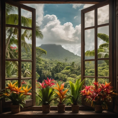 kauai,window view,arenal volcano,tropical bloom,tropical flowers,tropical house,samoa,dominica,botanical frame,tropical floral background,costa rica,mauritius,exotic plants,seychelles,tahiti,tropics,jamaica,moorea,oahu,hawaii,Photography,General,Cinematic