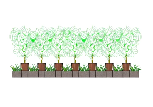 background vector,crop plant,root crop,seedlings,growth icon,plant community,cactus digital background,tender shoots of plants,patrol,saplings,diagram of photosynthesis,growing green,green plants,fodder plants,planting,mobile video game vector background,cactus line art,cereal cultivation,cultivation,oil-related plant