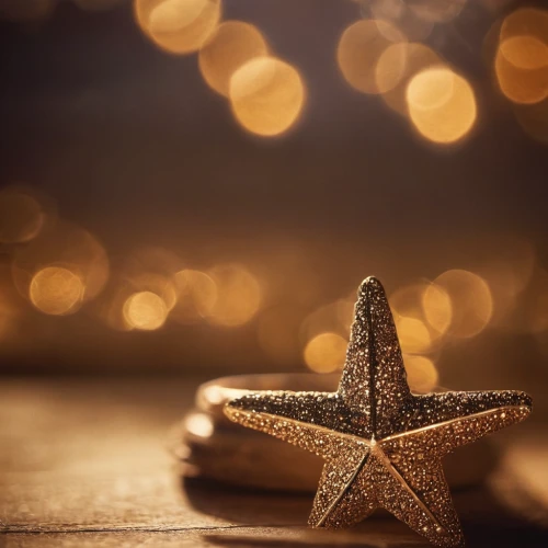 christmas star,christmasstars,advent star,christmas wallpaper,square bokeh,christ star,christmasbackground,background bokeh,gold foil christmas,christmas background,the occasion of christmas,cinnamon stars,bokeh,gold spangle,bokeh effect,christmas gold foil,christmas motif,third advent,bokeh lights,fourth advent,Photography,General,Cinematic