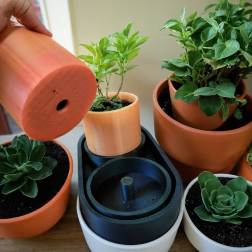 plants in pots,plant pots,garden pot,plants growing,house plants,spring pot drive,tube plants,cuttings,little plants,warming containers,garden plants,plant pot,small plants,plant protection,balcony plants,potting,outdoor plants,ice plant family,phyllanthus family,container plant