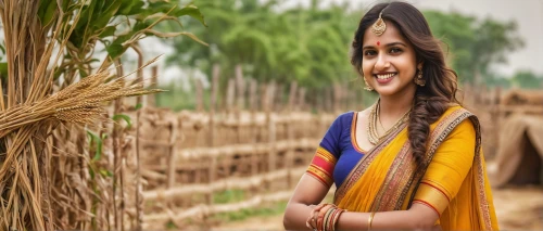 barley cultivation,farm background,cereal cultivation,woman of straw,field cultivation,agricultural engineering,aggriculture,pongal,indian woman,stock farming,indian girl,rice cultivation,agriculture,agricultural,tulsi,monsoon banner,farm girl,farmer,agroculture,poriyal,Photography,General,Natural