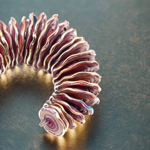 spiny sea shell,chambered nautilus,jewelry manufacturing,ammonite,deep sea nautilus,flaccid anemone,circular ring,filled anemone,ringed-worm,sea anemone,jewelry florets,polyp,ray anemone,marine gastropods,ring jewelry,titanium ring,cnidarian,crown chakra flower,sea anemones,red crinoid