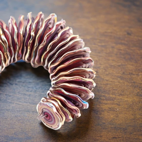 spiny sea shell,chambered nautilus,anago,ammonite,red crinoid,christmastree worms,hair comb,pine cone,pinecone,rib cage,deep sea nautilus,marine gastropods,sea shell,trilobite,spiral book,coral swirl,fir cone,helical,jawbone,pine cone pattern