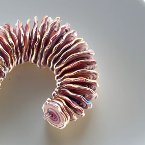 chambered nautilus,millipedes,ringed-worm,spiny sea shell,mitochondrion,anago,deep sea nautilus,ammonite,helical,hippocampus,waxworm,dna helix,coil,rib cage,centipede,slinky,flaccid anemone,sea anemone,marine gastropods,polyp