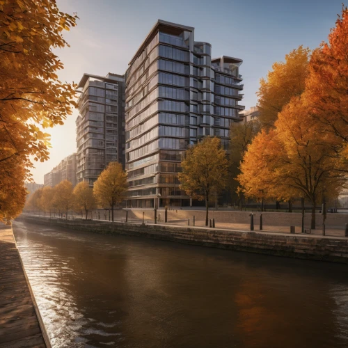 hafencity,düsseldorf,hamburg,mannheim,river seine,autumn light,autumn morning,berlin-kreuzberg,autumn scenery,berlin germany,one autumn afternoon,autostadt wolfsburg,limmat,autumn day,berlin,embankment,autumn background,tiergarten,golden autumn,autumn colors,Photography,General,Natural