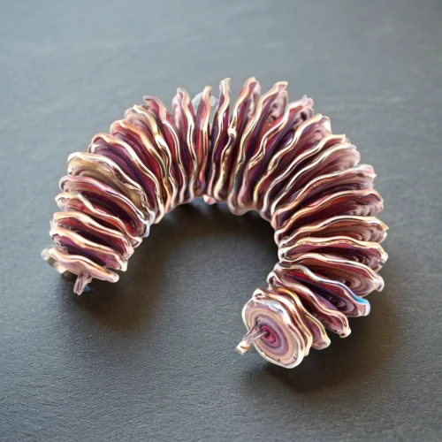 spiny sea shell,chambered nautilus,rib cage,anago,sea shell,blue sea shell pattern,marine gastropods,jawbone,osprey claw,hair comb,deep sea nautilus,ammonite,wampum snake,isopod,gastropods,coil,snail shell,spines,coral swirl,waxworm