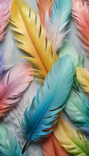 parrot feathers,color feathers,feathers,peacock feathers,colorful birds,beak feathers,feathers bird,feather,bird feather,feather jewelry,plumage,feathered,feathery,bird wings,feather boa,macaw hyacinth,bird of paradise,chicken feather,beautiful macaw,tropical floral background,Photography,General,Natural