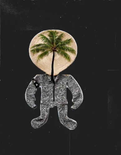 palm tree vector,palm tree silhouette,palm tree,cartoon palm,coconut tree,palmtree,aloha,coconut leaf,trilobite,luau,molokai,on the palm,palm,palm trees,toddy palm,palmtrees,map pin,guam,palms,palm in palm