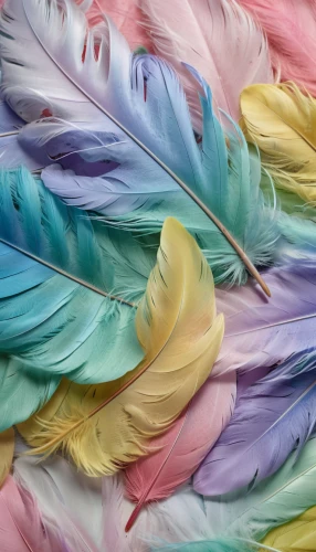 color feathers,parrot feathers,feathers,peacock feathers,colorful birds,beak feathers,feather jewelry,feather headdress,feather,bird feather,pigeon feather,plumage,peacock feather,feathers bird,bird wings,feathery,feather boa,bird wing,watercolor tassels,feathered,Photography,General,Natural