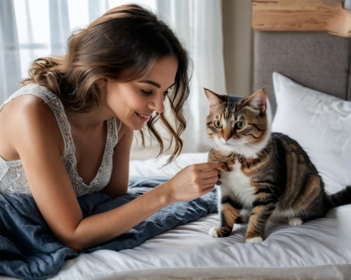 pet vitamins & supplements,cat lovers,cat mom,cat love,cat coffee,cute cat,cat drinking tea,chat,cat image,ritriver and the cat,kat,adopt a pet,pet adoption,pet,home pet,cat european,home fragrance,european shorthair,felines,human and animal,Photography,General,Natural