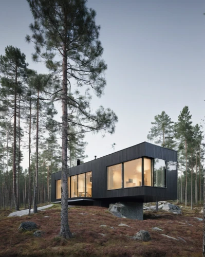 house in the forest,cubic house,timber house,cube house,inverted cottage,dunes house,modern house,modern architecture,small cabin,danish house,scandinavian style,holiday home,wooden house,summer house,mirror house,frame house,prefabricated buildings,house in mountains,cabin,residential house,Photography,Documentary Photography,Documentary Photography 04