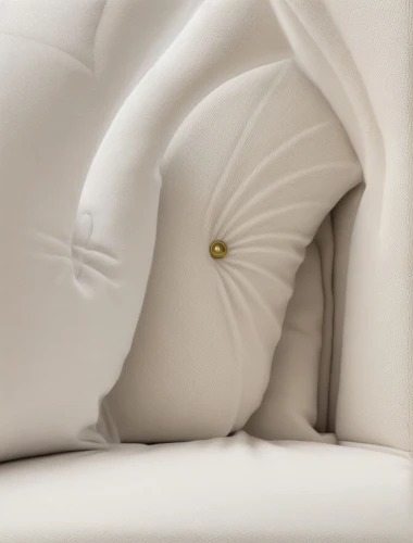 sofa cushions,slipcover,soft furniture,pillows,throw pillow,wedding ring cushion,bed linen,cushion,chaise longue,mattress pad,sofa,chaise,chambered nautilus,sleeper chair,giant white arum lily,bean bag chair,chaise lounge,pillow,settee,duvet cover,Common,Common,Natural